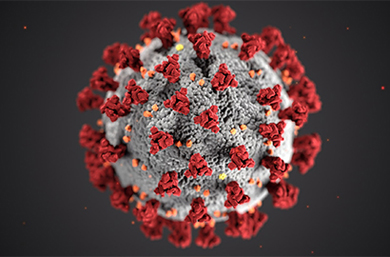 Coronavirus - 10.02.2021 - 390