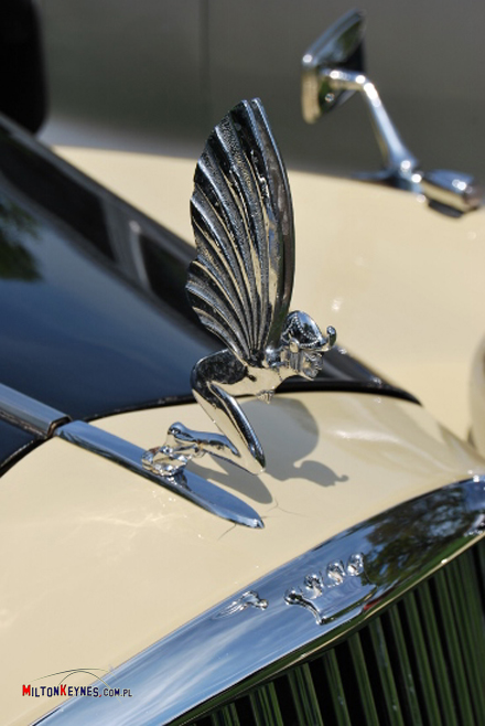 Woburn Abbey Deer Park  - classic motor 2 kopia - 440