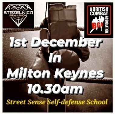 Self-defense and Combat Shooting Instructor - 380